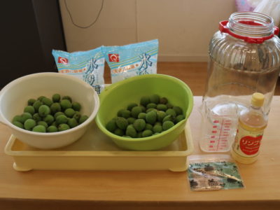 うめジュース作り